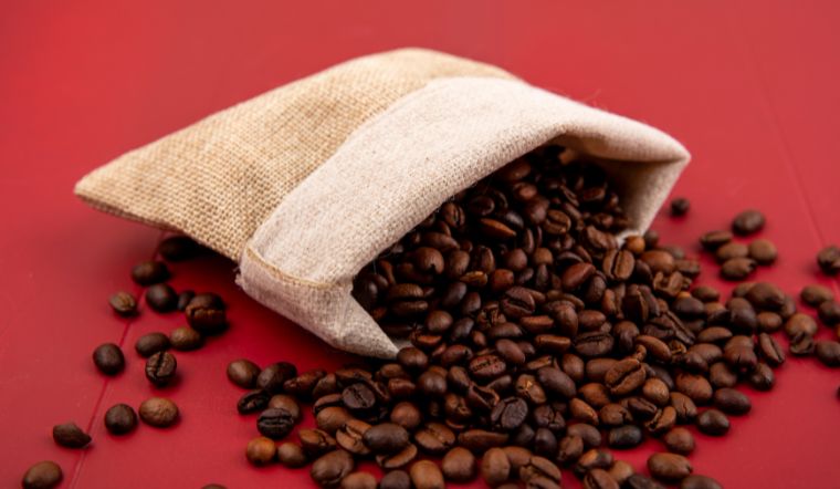 Giá cà phê hôm nay 12/07/2024: Tăng cao nhất 2.100 đồng/kg