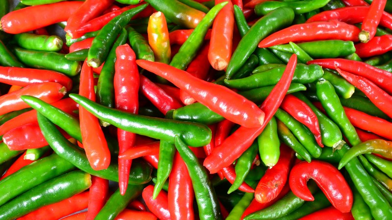 Giá ớt hôm nay 12/07/2024 mới nhất Giá ớt hôm nay 12/07/2024 mới nhất