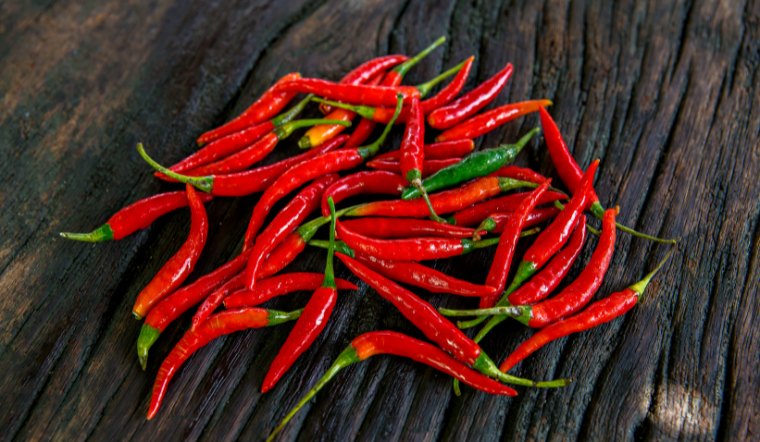 Giá ớt hôm nay 12/07/2024: Tạm không biến động