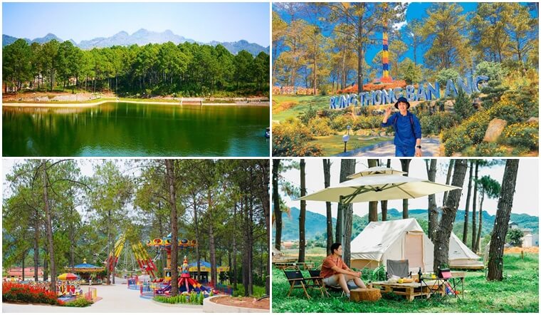 Trải nghiệm du lịch rừng thông Bản Áng chi tiết nhất