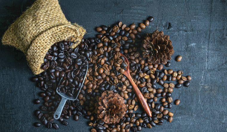 Giá cà phê hôm nay 13/07/2024: Tiếp đà tăng, cao nhất 500 đồng/kg