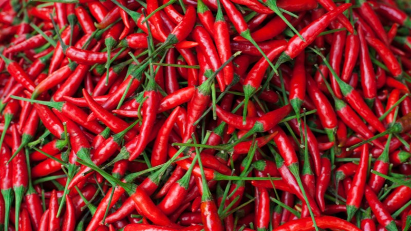 Giá ớt hôm nay 16/07/2024 mới nhất