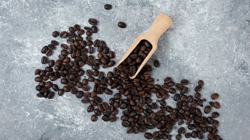 Giá cà phê trong nước hôm nay