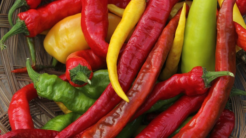 Giá ớt hôm nay 18/07/2024 mới nhất