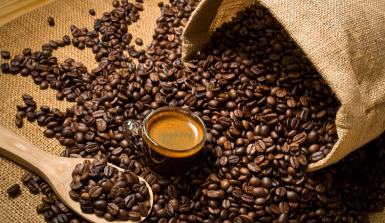 Giá cà phê hôm nay 19/07/2024: Đồng loạt giảm 2.000 đồng/kg