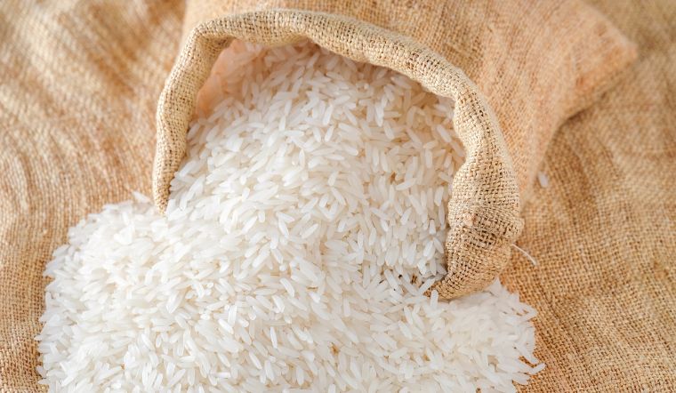 Giá lúa gạo hôm nay 19/7/2024: Không thay đổi