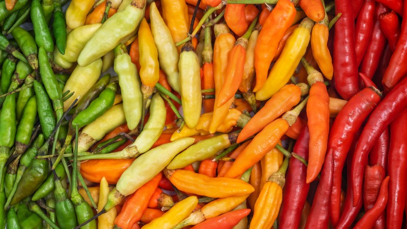 Giá ớt hôm nay 19/07/2024