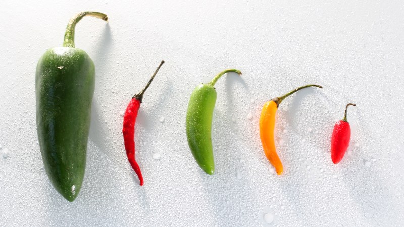 Giá ớt hôm nay 20/07/2024 mới nhất