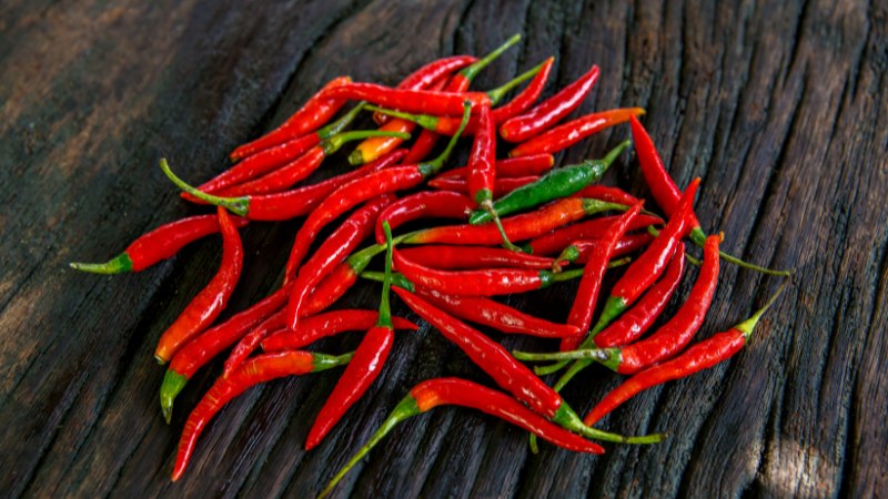 Giá ớt hôm nay 20/07/2024