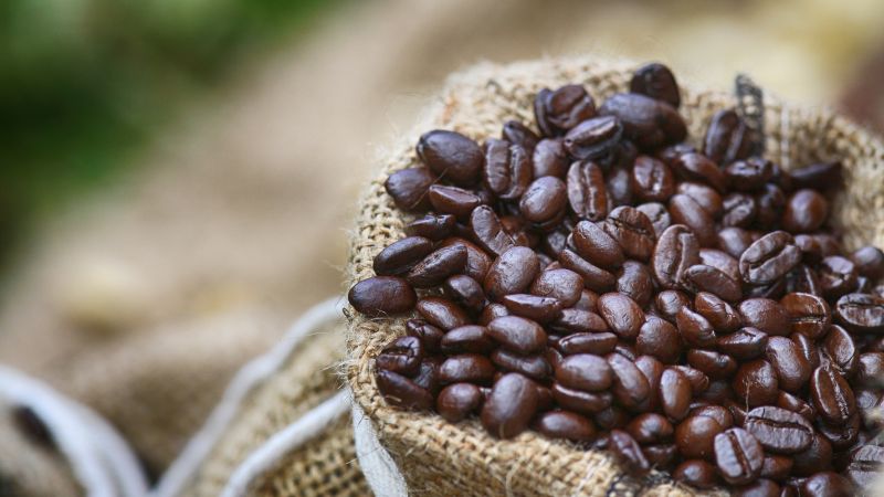 Giá cà phê trong nước hôm nay