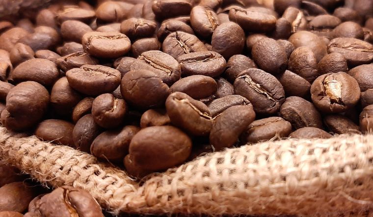 Giá cà phê hôm nay 22/07/2024: Tăng cao nhất 600 đồng/kg