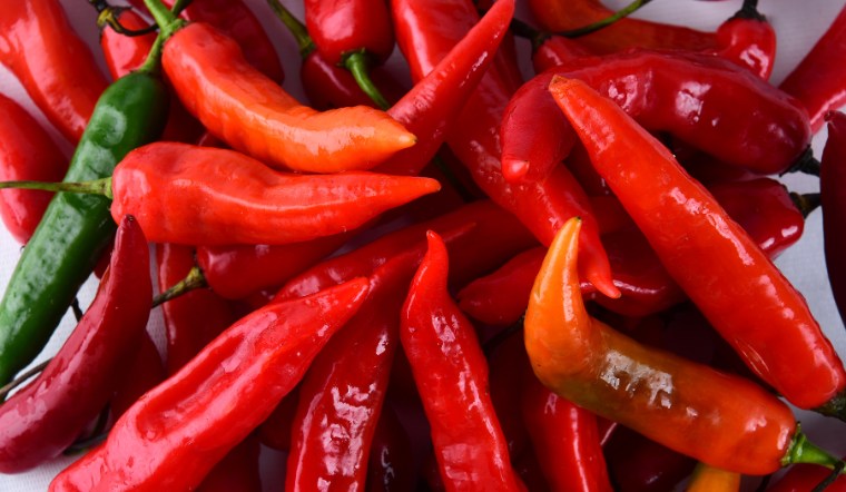 Giá ớt hôm nay 22/07/2024: Tạm đi ngang đầu tuần