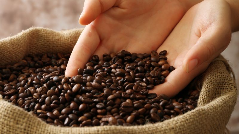 Giá cà phê trong nước hôm nay Giá cà phê trong nước hôm nay