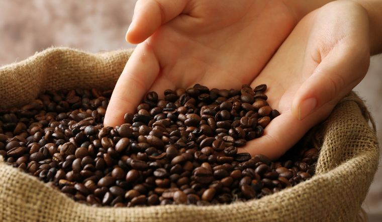 Giá cà phê hôm nay 23/07/2024: Đồng loạt tăng 1.000 đồng/kg