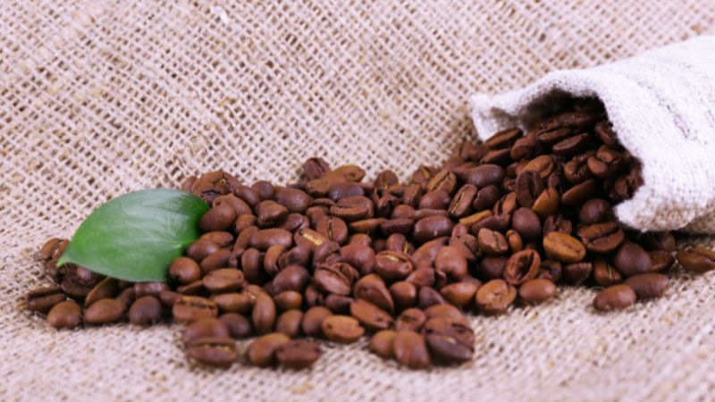 Giá cà phê trong nước hôm nay Giá cà phê trong nước hôm nay