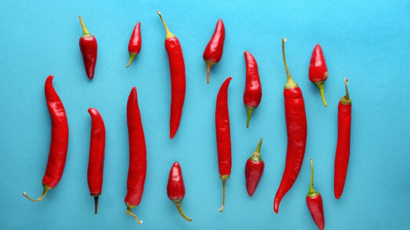 Giá ớt hôm nay 25/07/2024 cập nhật mới nhất