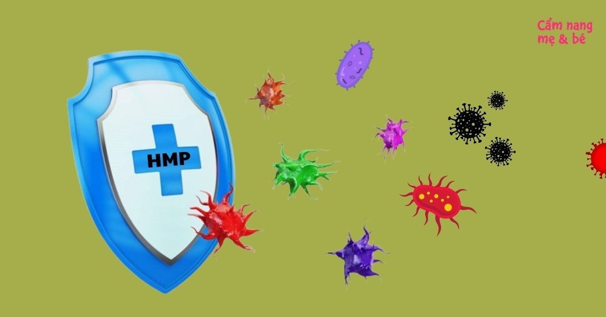 HMP là gì và có tác dụng gì cho sức khỏe?
