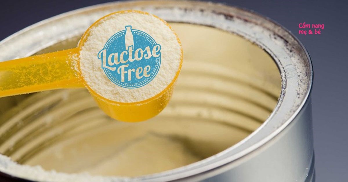 22 Lactose Free 12/2023 Vik News