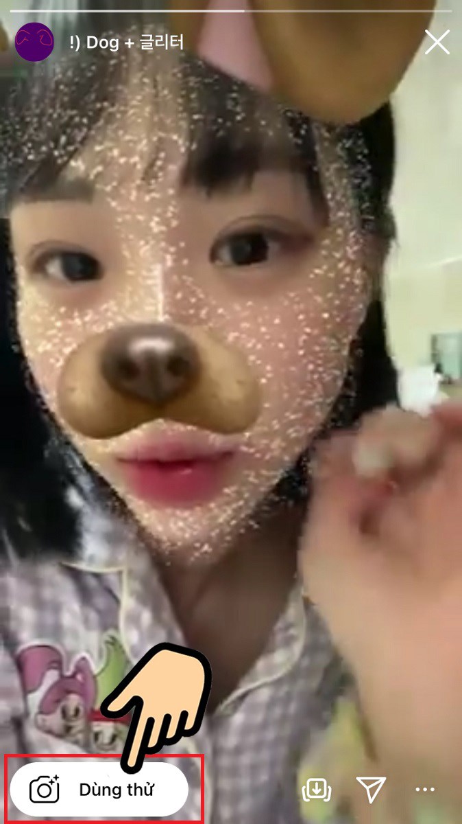 Cách chụp ảnh filter chú chó lấp lánh trên Instagram