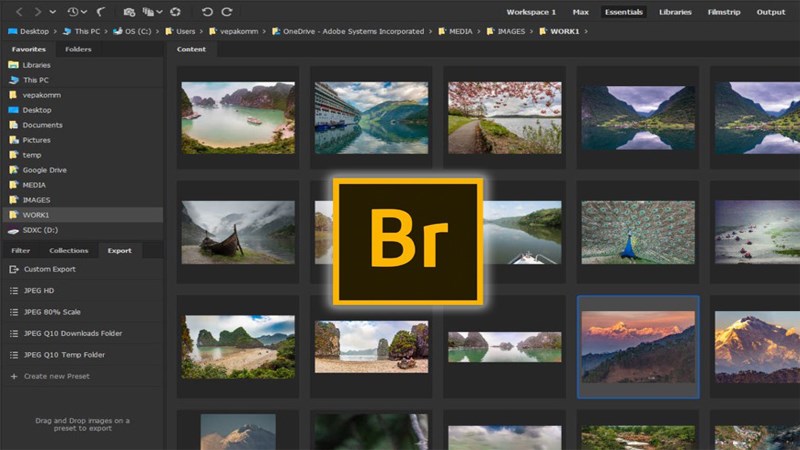 Adobe Bridge là gì? Các tính năng nổi bật của Adobe Bridge