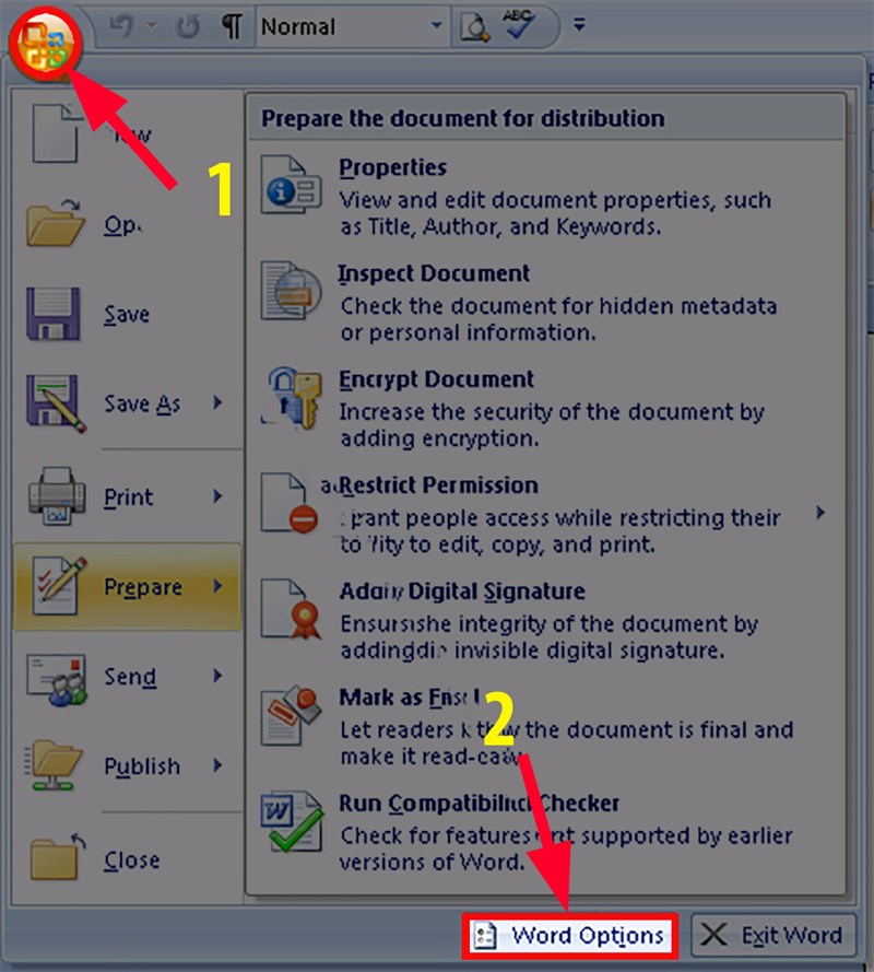 Chọn Office Button > Word Options