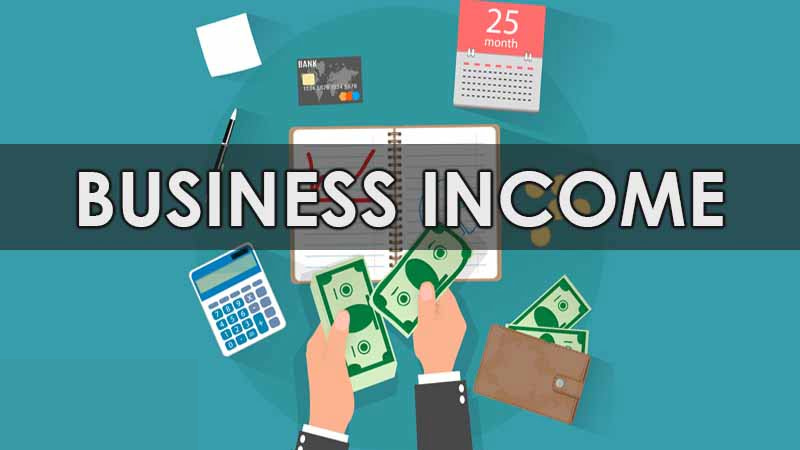 Interest received. MC Business Income.