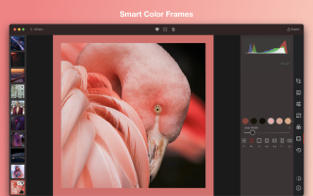 Screenshots Darkroom - Trình chỉnh sửa ảnh chuyên nghiệp cho iPhone