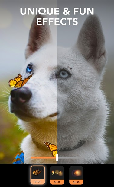 Screenshots ENLIGHT PIXALOOP - Ứng dụng tạo ảnh động độc đáo