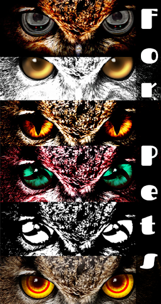 Screenshots FoxEyes - Ứng dụng thay đổi kiểu mắt độc đáo