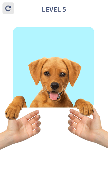 Screenshots Brain Puzzle: 99 Games - Trò chơi thử thách xoắn não siêu vui nhộn