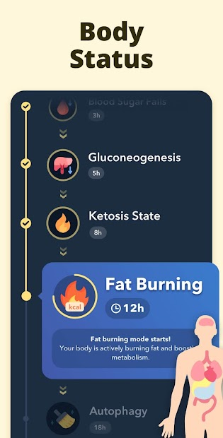Screenshots Fasting App- Theo dõi nhịn ăn & gián đoạn nhanh