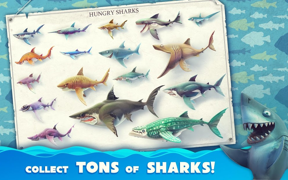 Tải Game Hungry Shark World - Siêu Cá Mập Săn Mồi | Hướng Dẫn Cách Chơi