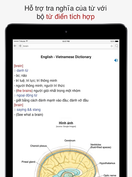 Screenshots Tra câu - Ứng dụng tra mẫu câu Anh-Việt, Việt-Anh