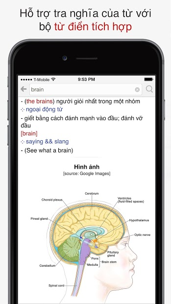 Screenshots Tra câu - Ứng dụng tra mẫu câu Anh-Việt, Việt-Anh