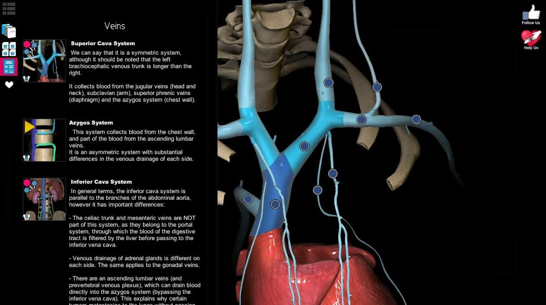 Screenshots Anatomy Learning - 3D Anatomy Atlas: Giải phẫu Người 3D