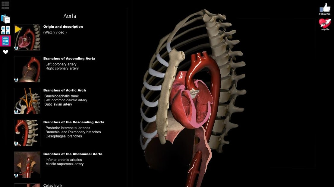 Screenshots Anatomy Learning - 3D Anatomy Atlas: Giải phẫu Người 3D