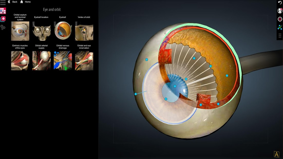 Screenshots Anatomy Learning - 3D Anatomy Atlas: Giải phẫu Người 3D
