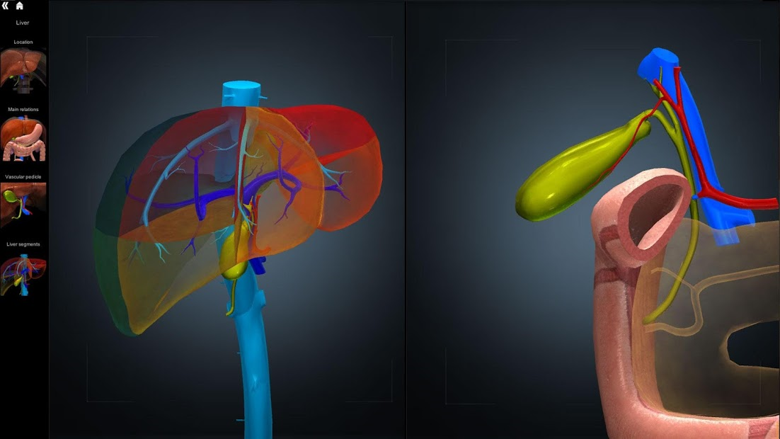 Screenshots Anatomy Learning - 3D Anatomy Atlas: Giải phẫu Người 3D