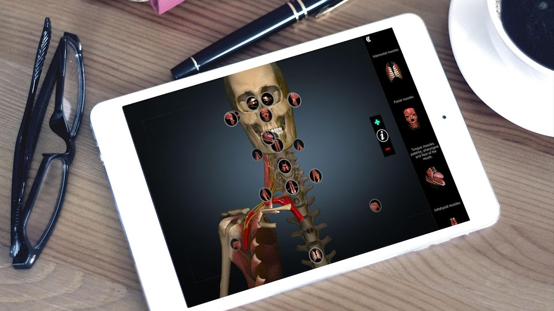 Screenshots Anatomy Learning - 3D Anatomy Atlas: Giải phẫu Người 3D