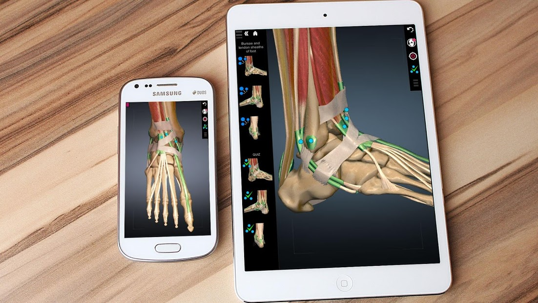 Screenshots Anatomy Learning - 3D Anatomy Atlas: Giải phẫu Người 3D
