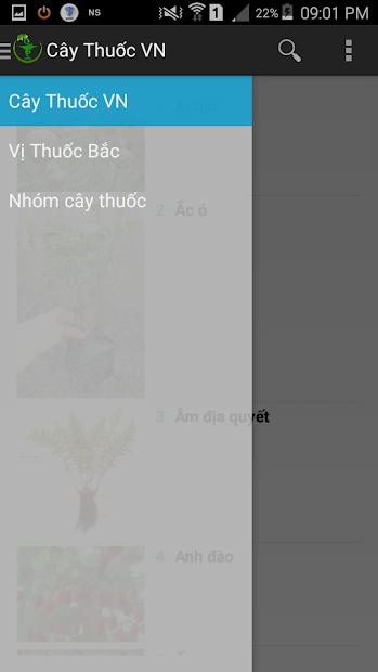 Screenshots Cây thuốc Việt Nam: Cách chữa bệnh bằng cây thuốc