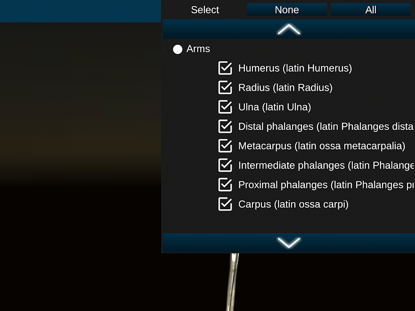Screenshots Osseous System in 3D (Anatomy): Giải phẫu xương người 3D