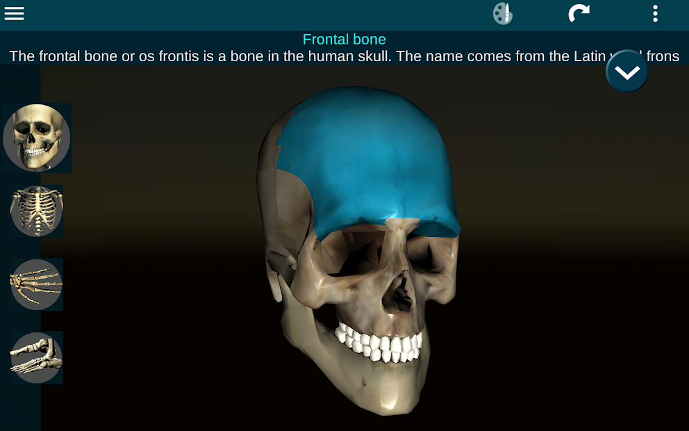 Screenshots Osseous System in 3D (Anatomy): Giải phẫu xương người 3D