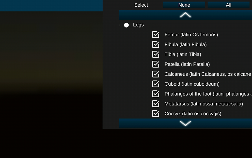 Screenshots Osseous System in 3D (Anatomy): Giải phẫu xương người 3D