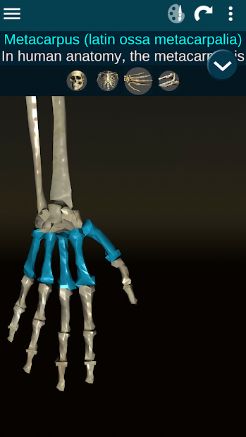 Ứng dụng Osseous System in 3D (Anatomy): Giải phẫu xương người 3D ...
