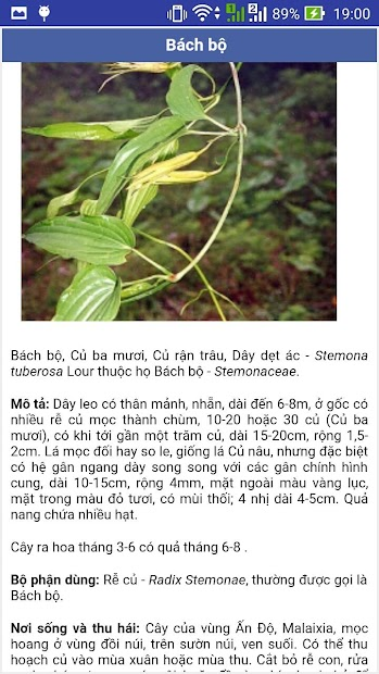 Screenshots Cây cỏ làm thuốc: Tra cứu cây thuốc thiên nhiên