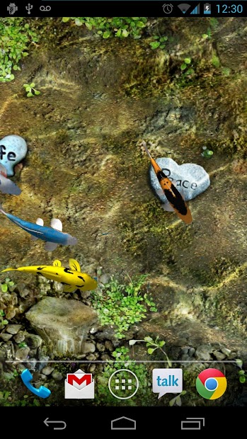 Mang bể cá KOI vào màn hình điện thoại | Hình nền hồ cá 3D | Bệnh Viện Điện  Thoại 24h - YouTube