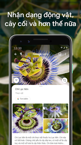 Ảnh chụp màn hình Google Đại đế - Google Lens: Dịch văn bản, nhận diện đồ vật