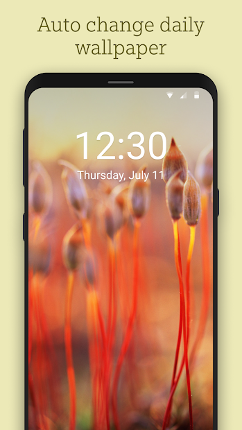 Screenshots Tải hình nền Bing đẹp, chất lượng cao