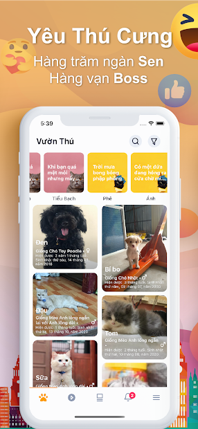Screenshots Pety mạng xã hội của người yêu thú cưng